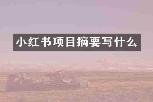 小红书项目摘要写什么