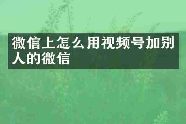 微信上怎么用视频号加别人的微信