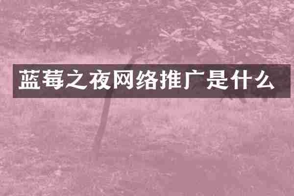 蓝莓之夜网络推广是什么
