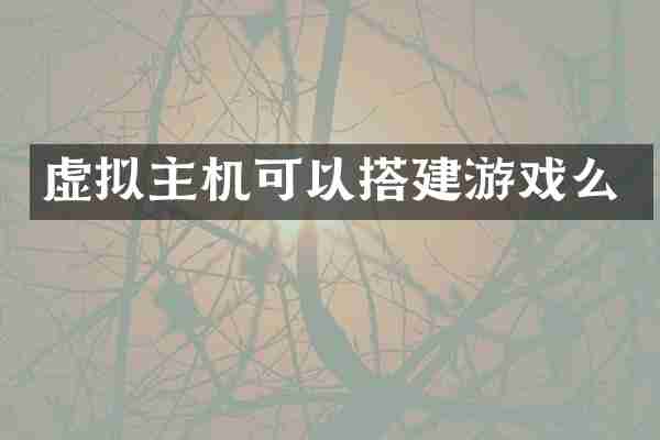 虚拟主机可以搭建游戏么