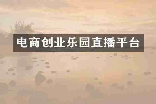 电商创业乐园直播平台