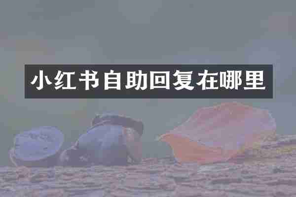小红书自助回复在哪里