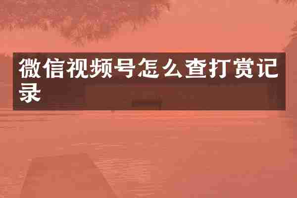 微信视频号怎么查打赏记录