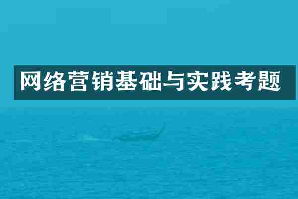 网络营销基础与实践考题