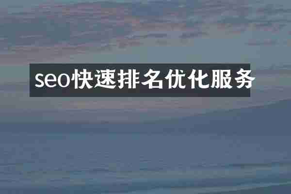 seo快速排名优化服务