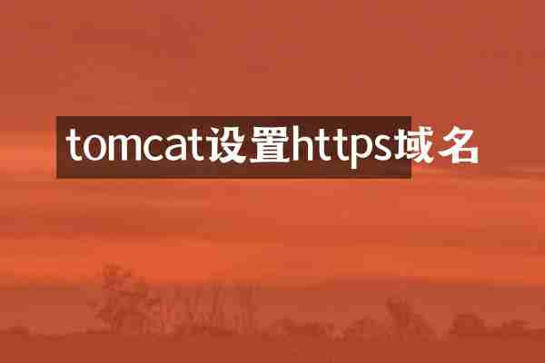 tomcat设置https域名