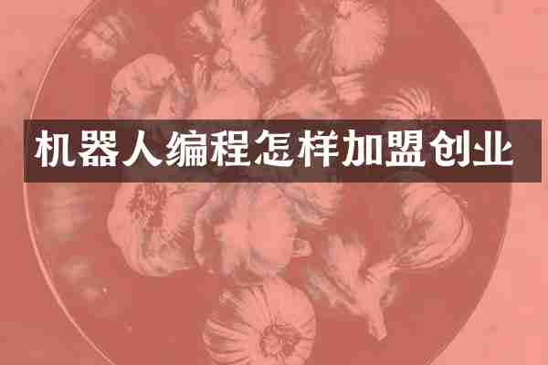 机器人编程怎样加盟创业