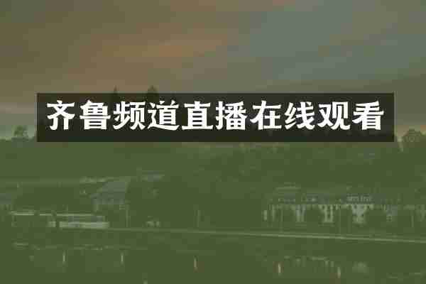 齐鲁频道直播在线观看