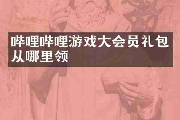 哔哩哔哩游戏大会员礼包从哪里领