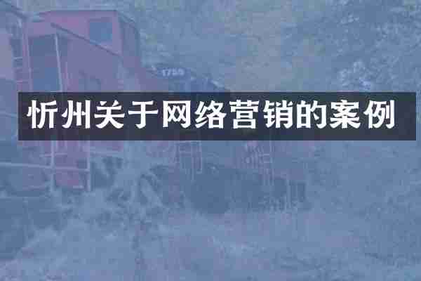 忻州关于网络营销的案例