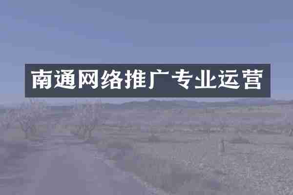 南通网络推广专业运营
