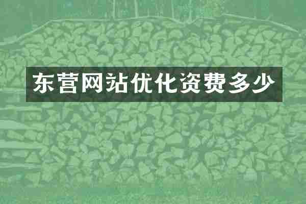东营网站优化资费多少