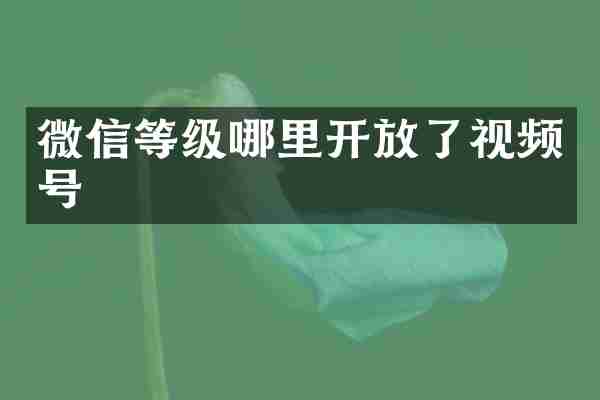 微信等级哪里开放了视频号