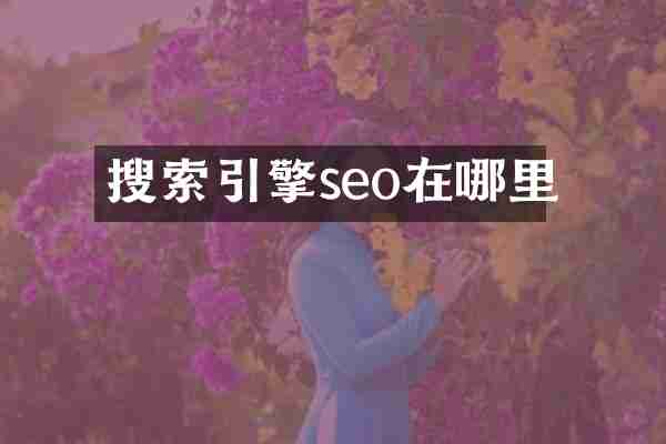 搜索引擎seo在哪里