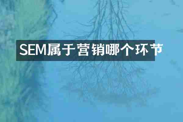 SEM属于营销哪个环节