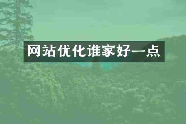 网站优化谁家好一点