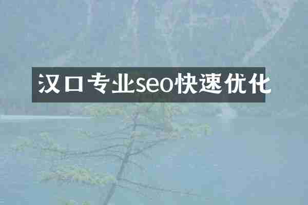 汉口专业seo快速优化