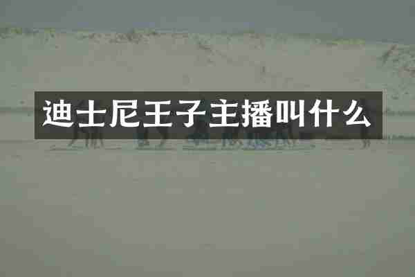 迪士尼王子主播叫什么