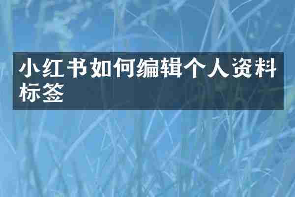小红书如何编辑个人资料标签