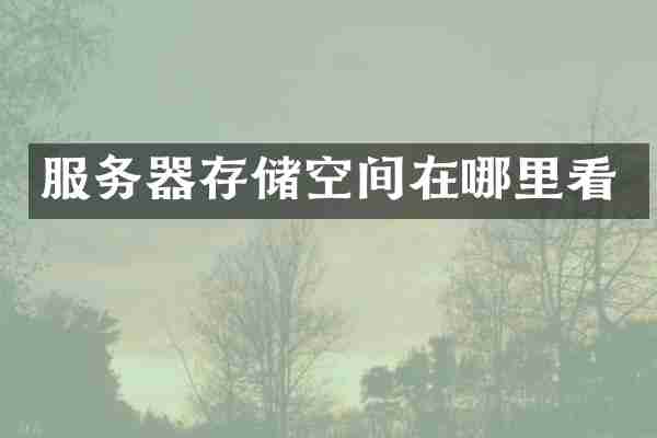 服务器存储空间在哪里看