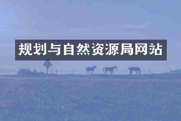 规划与自然资源局网站