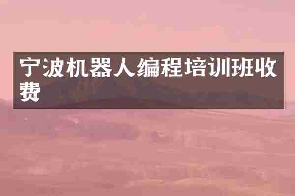 宁波机器人编程培训班收费