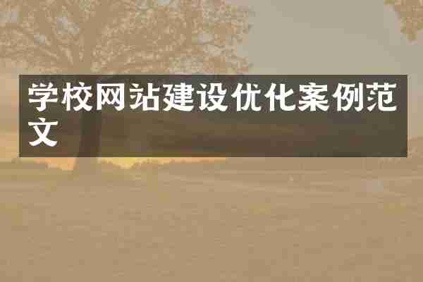 学校网站建设优化案例范文