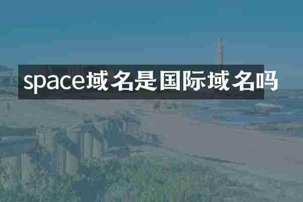 space域名是国际域名吗