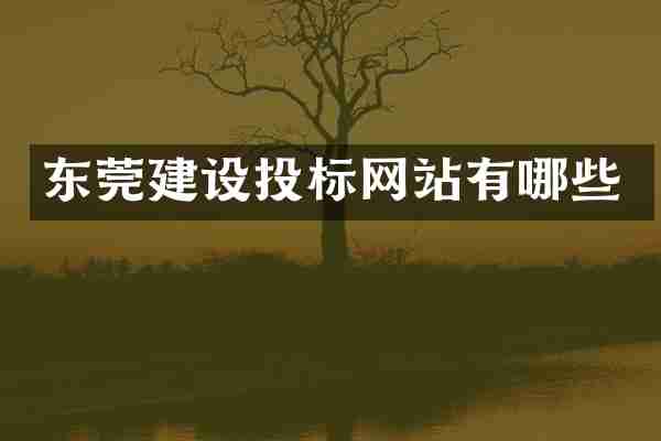 东莞建设投标网站有哪些