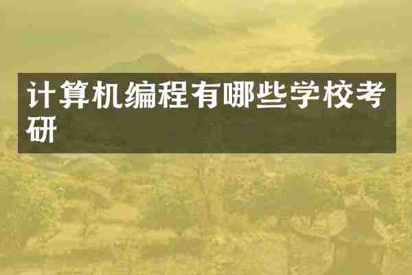计算机编程有哪些学校考研