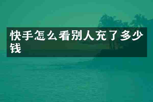 快手怎么看别人充了多少钱