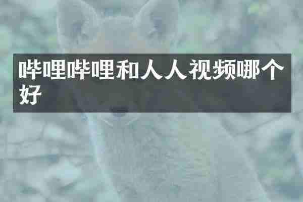 哔哩哔哩和人人视频哪个好