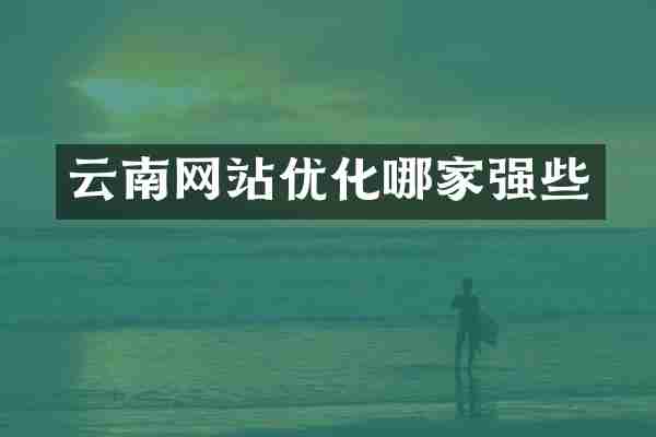 云南网站优化哪家强些