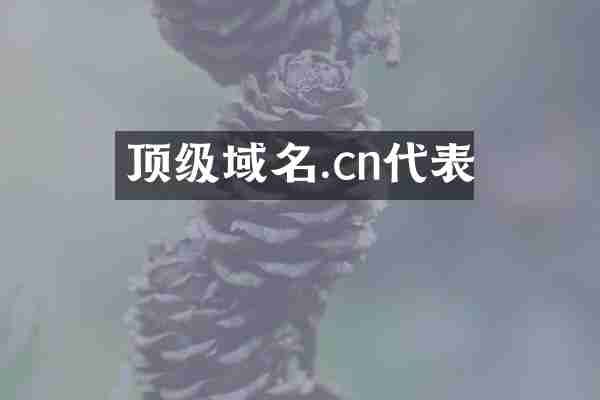 顶级域名.cn代表