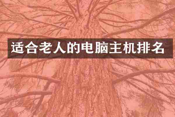 适合老人的电脑主机排名