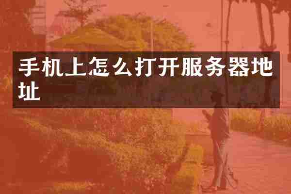 手机上怎么打开服务器地址