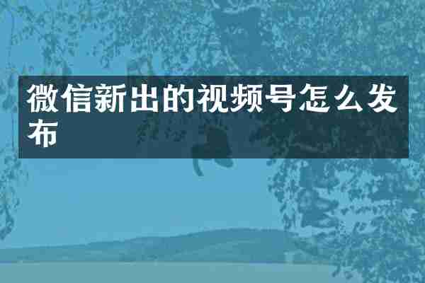 微信新出的视频号怎么发布