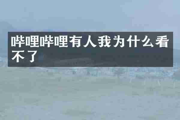 哔哩哔哩有人我为什么看不了