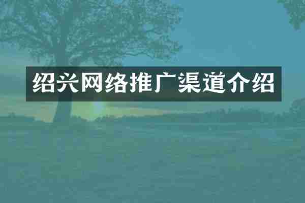 绍兴网络推广渠道介绍