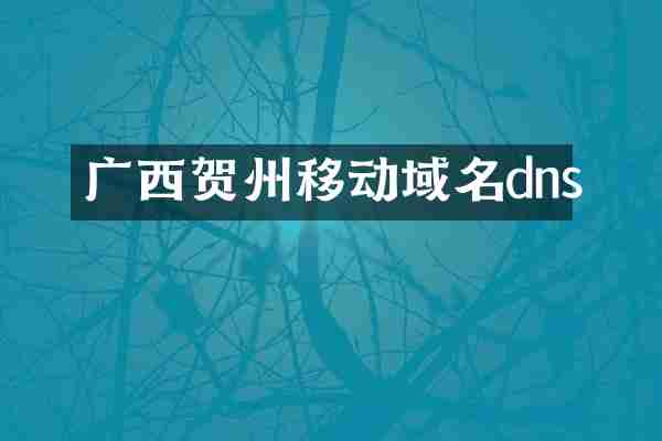 广西贺州移动域名dns