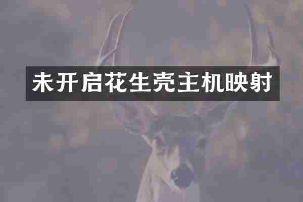 未开启花生壳主机映射