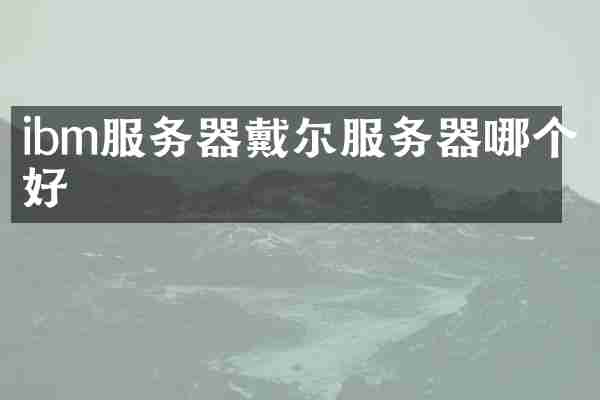 ibm服务器戴尔服务器哪个好