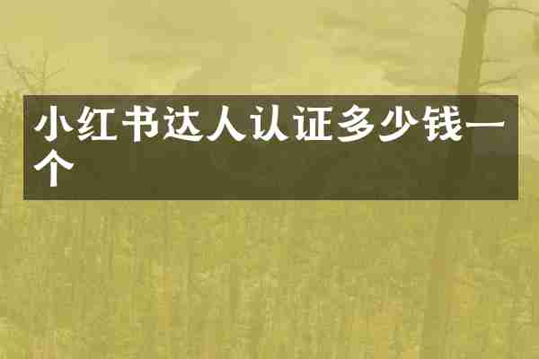小红书达人认证多少钱一个