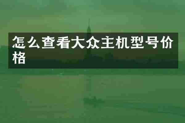 怎么查看大众主机型号价格