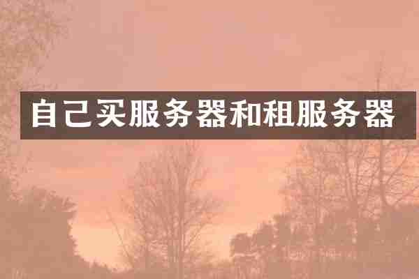 自己买服务器和租服务器