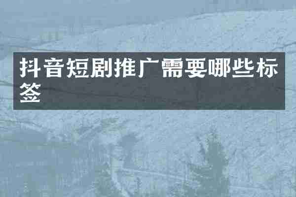 抖音短剧推广需要哪些标签