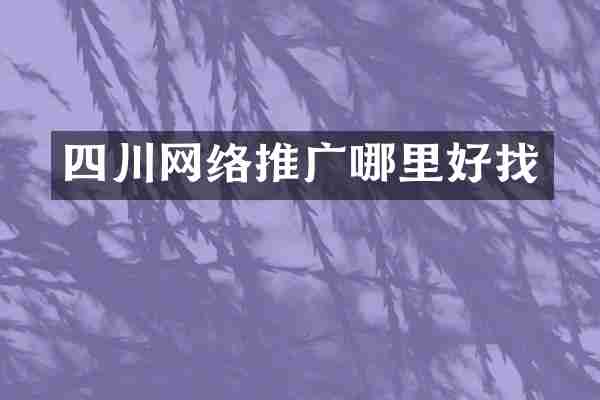 四川网络推广哪里好找