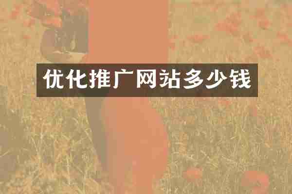 优化推广网站多少钱