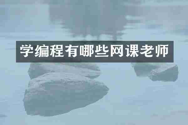 学编程有哪些网课老师