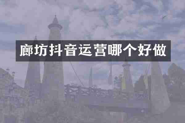 廊坊抖音运营哪个好做